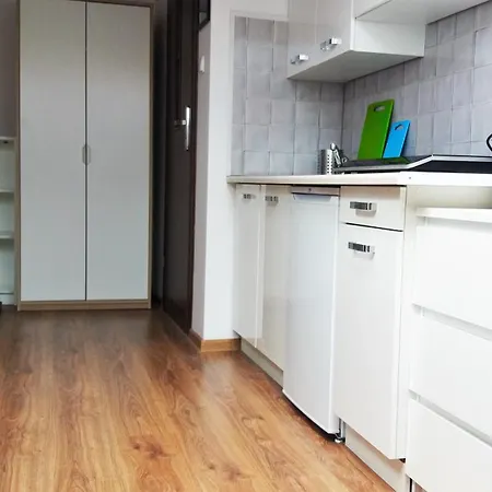 Nice Attic Studio Close To Old Town Air Conditioning - Klimatyzacja Krakau Exterior foto